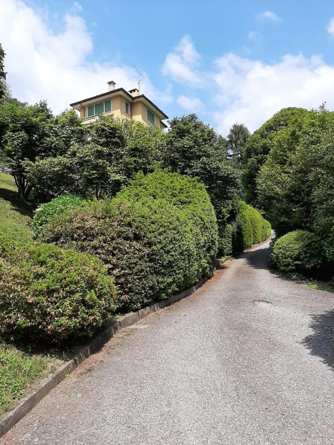 Bmp Apartment Gioiosa 2 Giardino Vista Lago Maggiore Belgirate Exterior photo